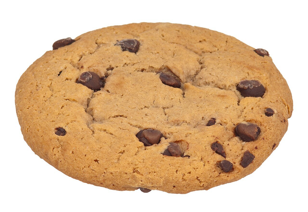 SONY DSC Chocolate Chip Cookie - Image 1